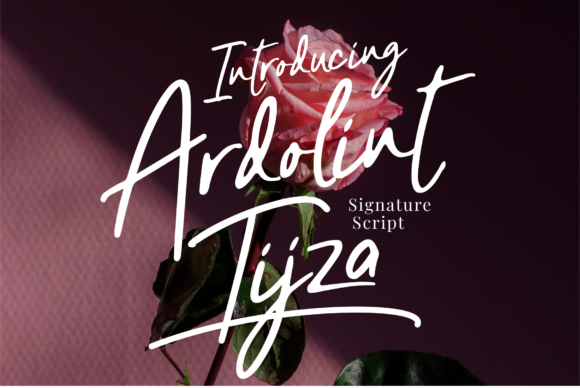 Ardolint Tijza: Elegant Script Typography