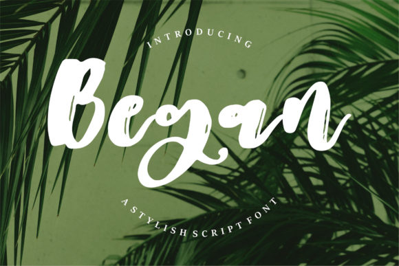 Began: A Delicate Script for Elegant Branding