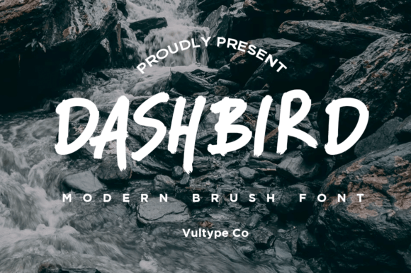 Dashbird: Integrating Brush-Style Typography into Professional Design Workflows