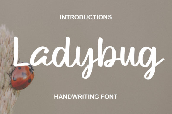 Ladybug: The Relaxed Handwritten Font for Modern Brands