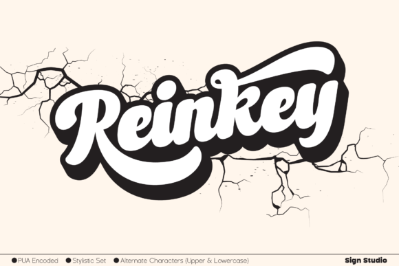 Reinkey: A Clean Brushed Display Font for Professional Impact