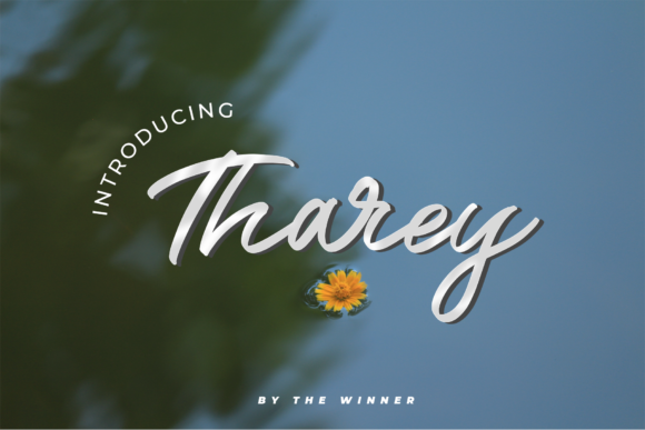 Tharey: Elevating Digital and Physical Design with Authentic Hand-Lettered Aesthetics