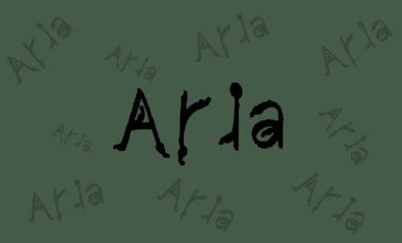 The Quiet Power of Clarity: Why Aria Is Reshaping Modern Digital Communication