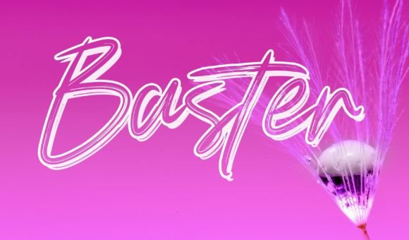 Unleashing Bold Expression with the Baster Font Family