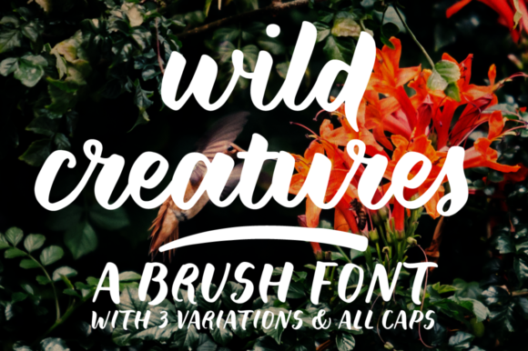 Wild Creatures: A Bold Brushed Script for Modern Branding